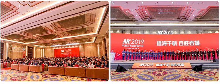 橙海千帆，自勝者雄！——賀2019中國大農(nóng)業(yè)營銷年會圓滿落幕！(圖3)