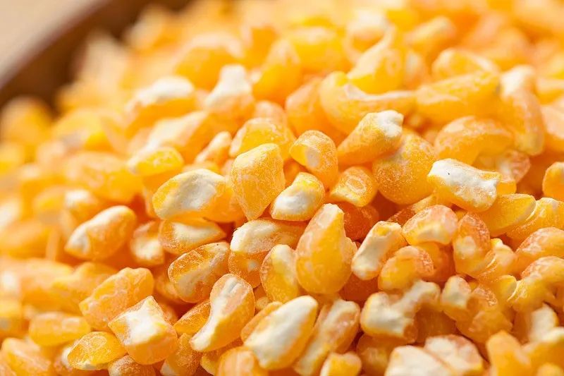 黃羽雞行情回暖，有望提振飼料需求？(圖4)