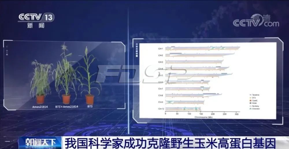 飼料行業(yè)福音！豆粕替代曙光出現(xiàn)(圖2)