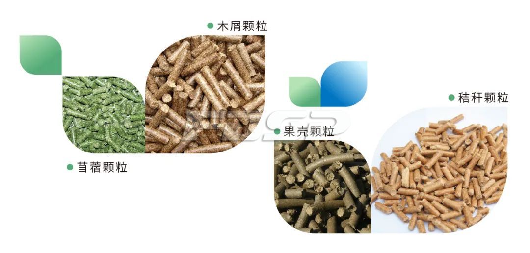 生物質顆粒燃料工程